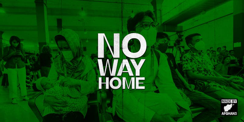 No Way Home, Episode Three: Born Again