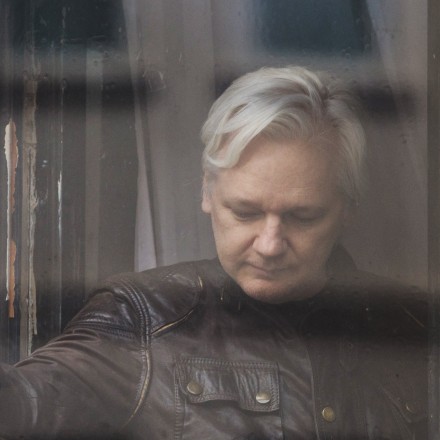 [Image: ebd4fbaf-14f4-43c0-b051-7c7c73aa2247.jpe...32000b39e2]